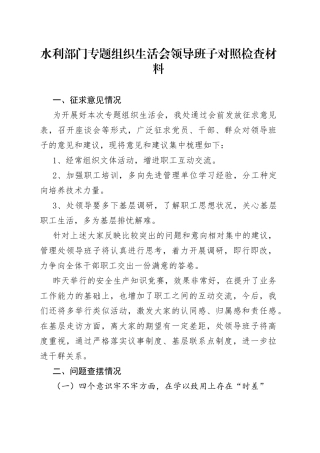 水利部门专题组织生活会领导班子对照检查材料