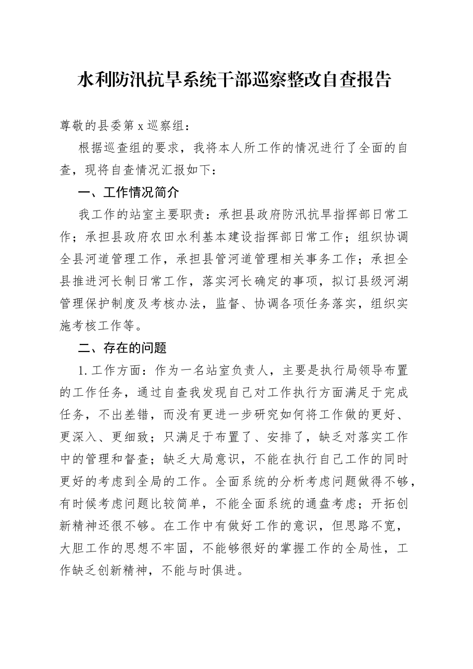 水利防汛抗旱系统干部巡察整改自查报告_第1页