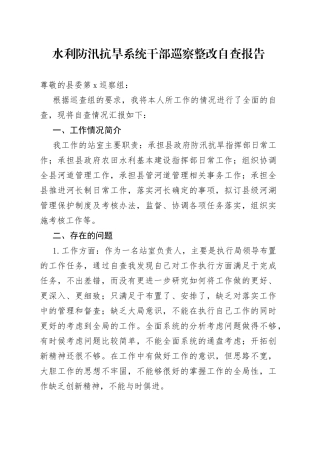 水利防汛抗旱系统干部巡察整改自查报告