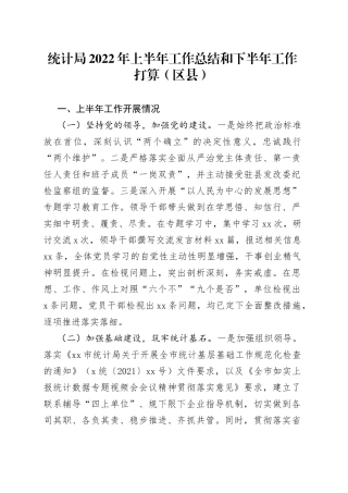 统计局2022年上半年工作总结和下半年工作打算（区县）