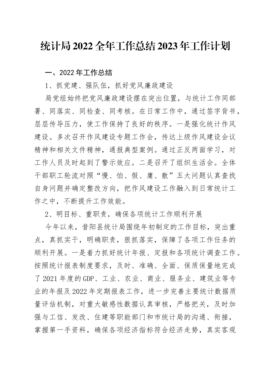 统计局2022全年工作总结2023年工作计划（1）_第1页