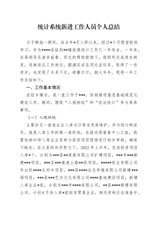 统计系统新进工作人员个人总结