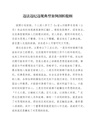 违法违纪违规典型案例剖析提纲(1)