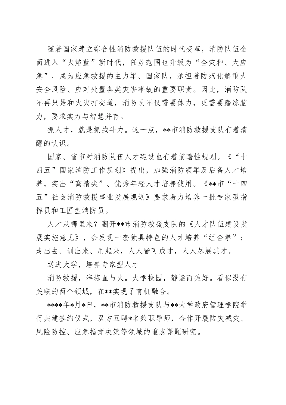 消防救援支队人才队伍建设工作综述_第2页