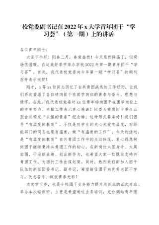 校党委副书记在2022年X大学青年团干“学习荟”（第一期）上的讲话