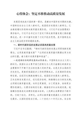 心得体会：坚定不移推动高质量发展