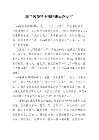 新当选领导干部任职表态发言