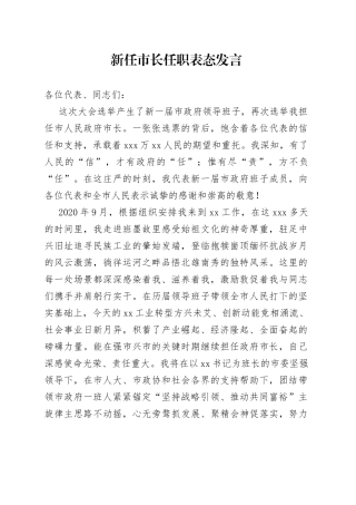 新任市长任职表态发言