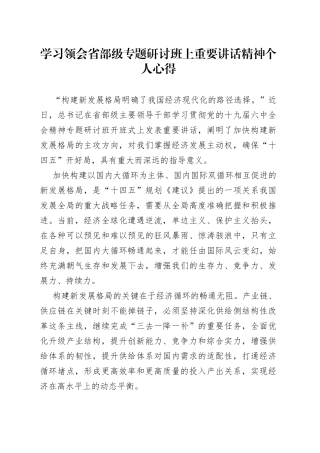 学习领会省部级专题研讨班上重要讲话精神个人心得