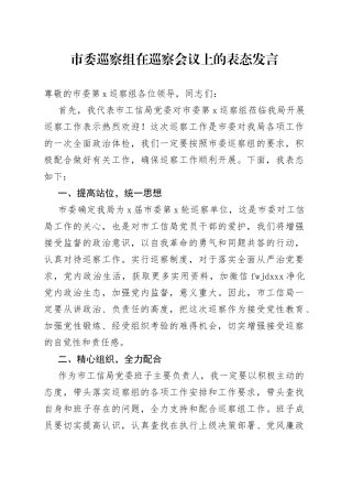 巡察组在巡察会议上的表态发言20220615
