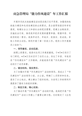 应急管理局“能力作风建设”年工作汇报