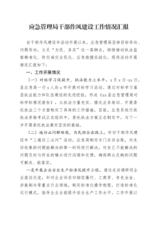 应急管理局干部作风建设工作情况汇报