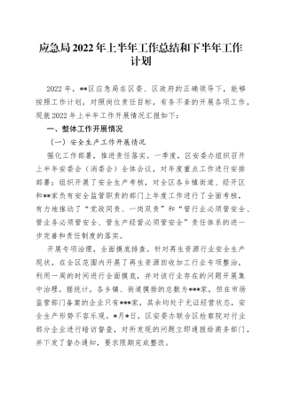 应急局2022年上半年工作总结和下半年工作计划（1）
