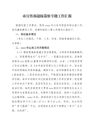 迎接巡察专题工作汇报