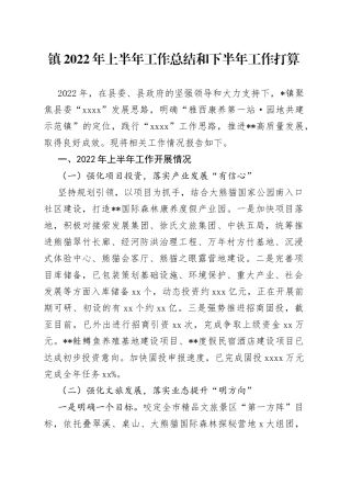 镇2022年上半年工作总结和下半年工作打算