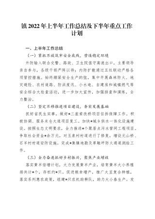 镇2022年上半年工作总结及下半年重点工作计划