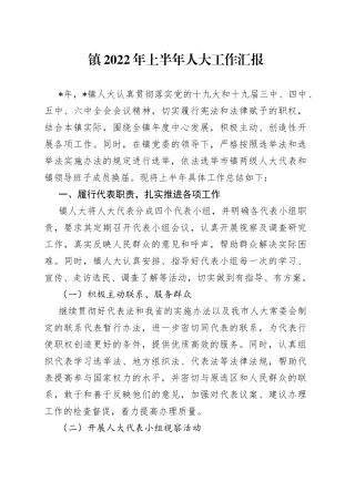 镇2022年上半年人大工作汇报