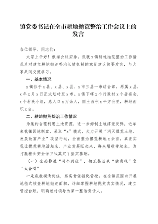 镇党委书记在全市耕地抛荒整治工作会议上的发言