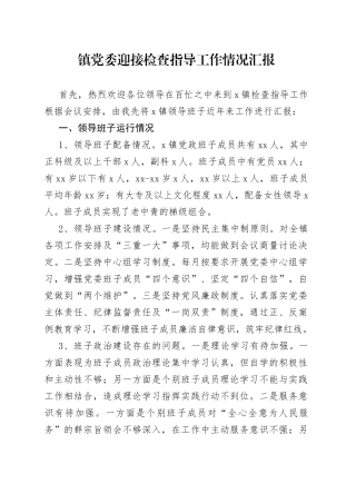 镇党委迎接检查指导工作情况汇报