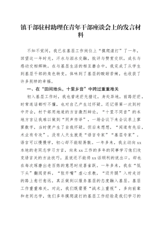 镇干部驻村助理在青年干部座谈会上的发言材料