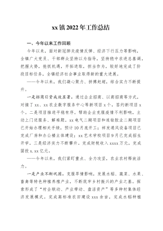 镇政府2022年工作总结