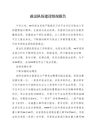 政法队伍建设情况报告