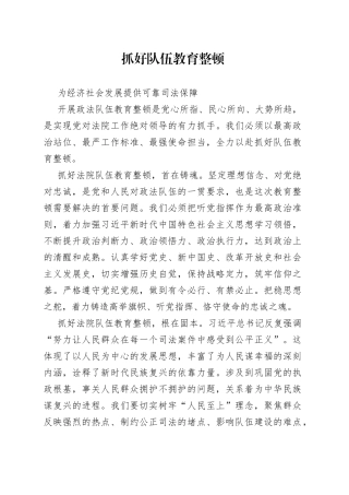 政法队伍教育整顿学习心得体会（5篇）