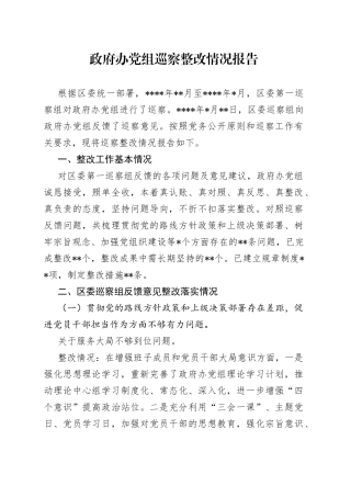 政府办党组巡察整改情况报告