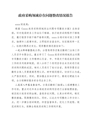 政府采购领域存在问题整改情况报告