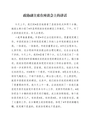 政协副主席在座谈会上的讲话