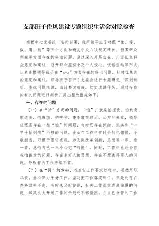 支部班子作风建设专题组织生活会对照检查