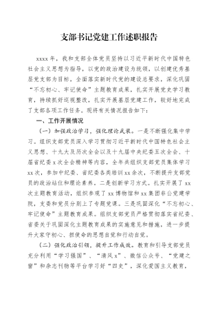支部书记党建工作述职报告
