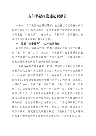 支部书记抓党建述职报告（三）