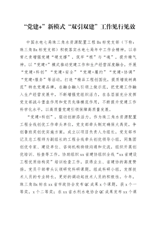 “党建+”新模式“双引双建”工作见行见效