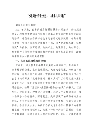 “党建带社建、社村共建”擘画乡村振兴蓝图