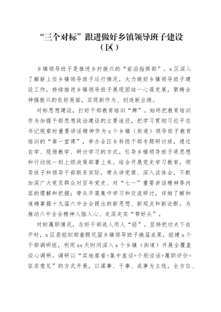 “三个对标”跟进做好乡镇领导班子建设