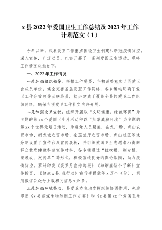 2022年爱国卫生工作总结及2023年工作计划4篇