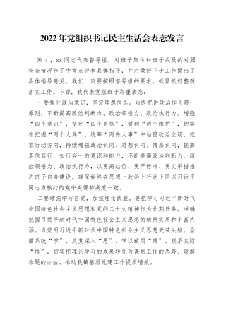 2022年党组织书记民主生活会表态发言（1）