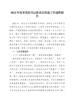 2022年度某党组书记抓基层党建工作述职报告