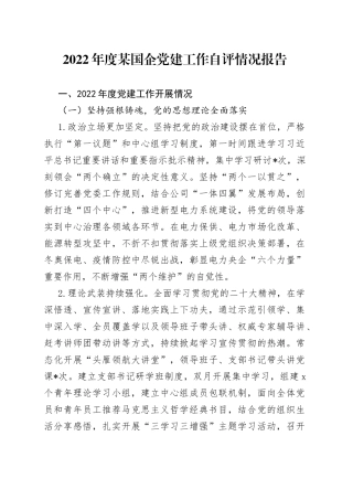 2022年度某国企党建工作自评情况报告