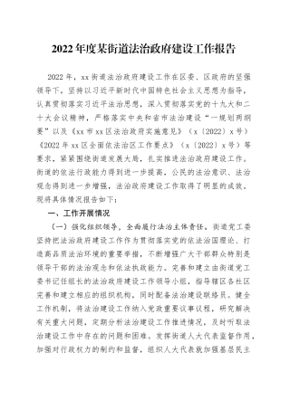 2022年度某街道法治政府建设工作报告