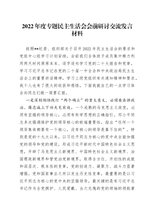2022年度专题民主生活会会前研讨交流发言材料