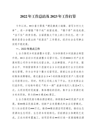 2022年工作总结及2023年工作打算2