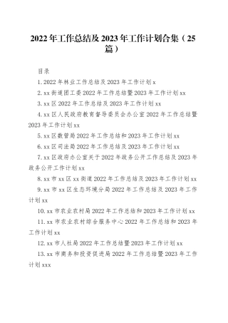 2022年工作总结及2023年工作计划合集（25篇）