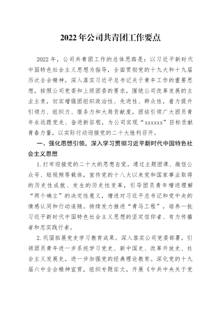 2022年公司共青团工作要点