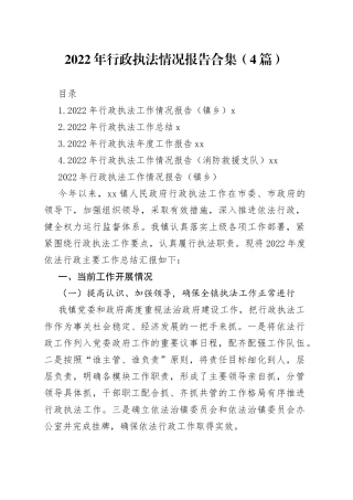2022年行政执法情况报告合集（4篇）