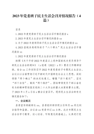 2023年党委班子民主生活会召开情况报告（4篇）