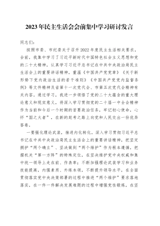 2023年民主生活会会前集中学习研讨发言