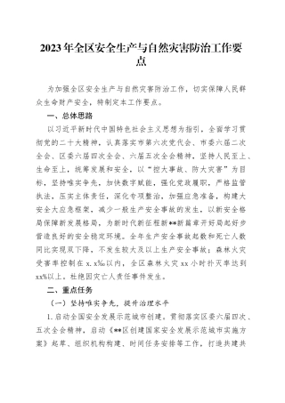 2023年全区安全生产与自然灾害防治工作要点