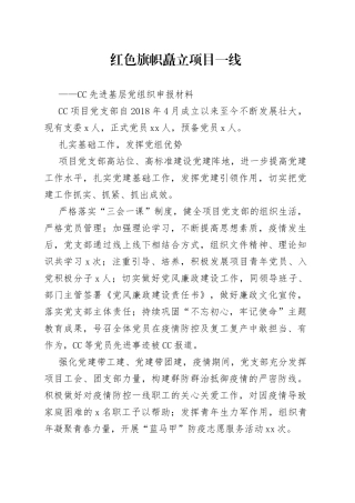 ——CC先进基层党组织申报材料